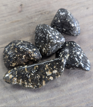 Medium African Tumble Stone - Guinea Fowl Medium