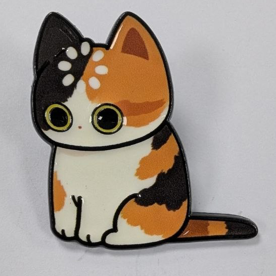 Confused Cat