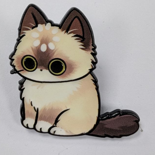 Confused Cat