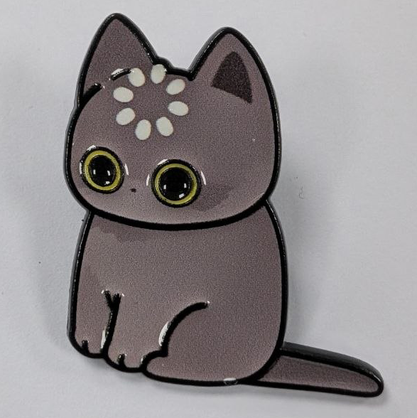 Confused Cat