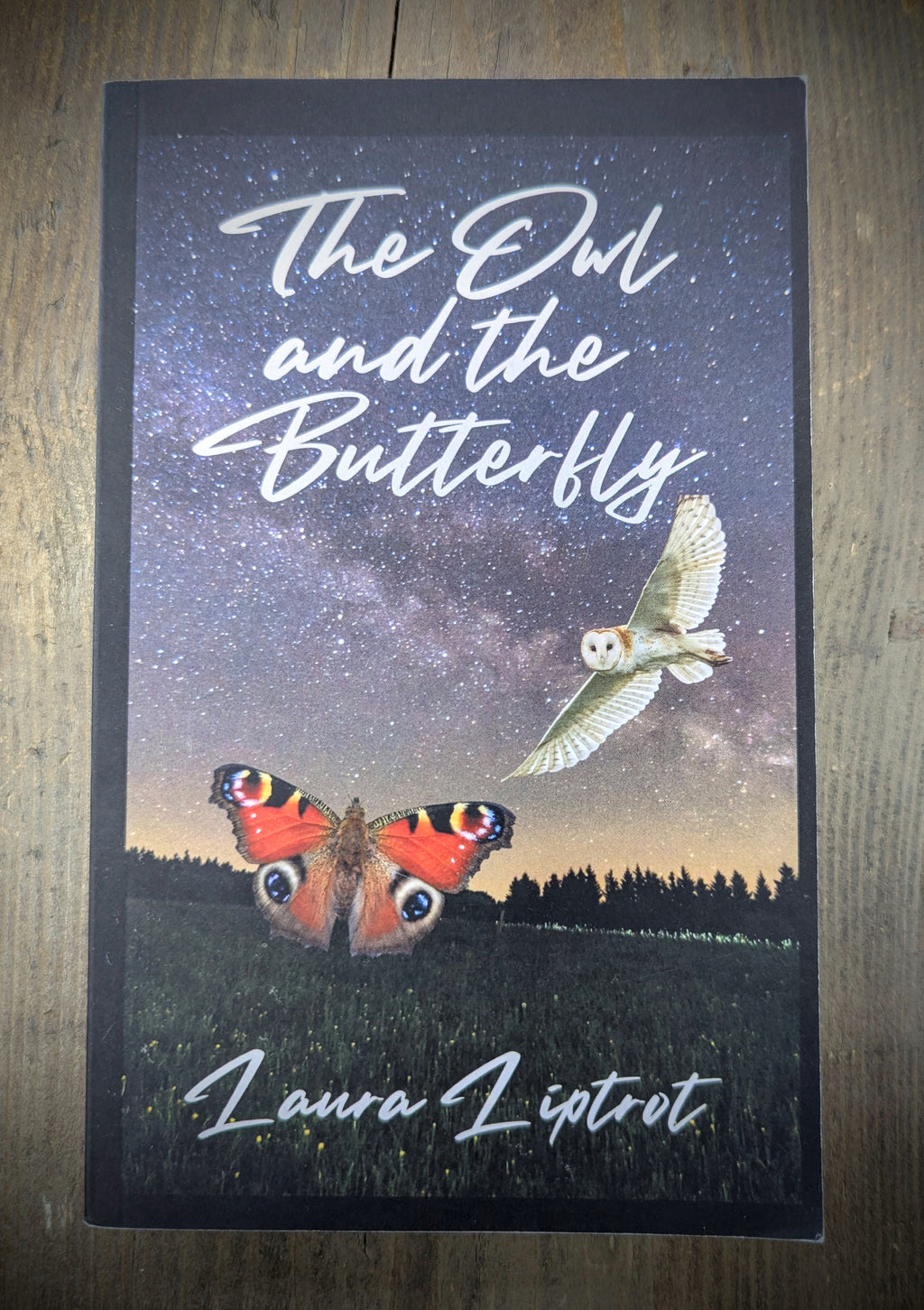 The owl and the butterfly
