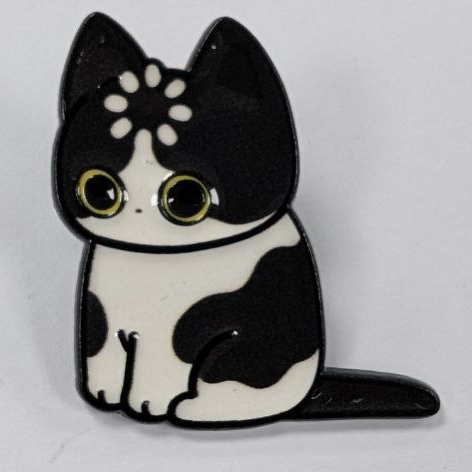 Confused Cat