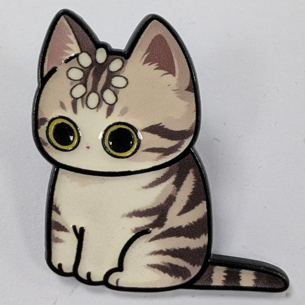 Confused Cat