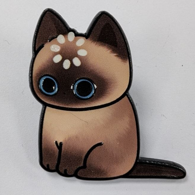Confused Cat