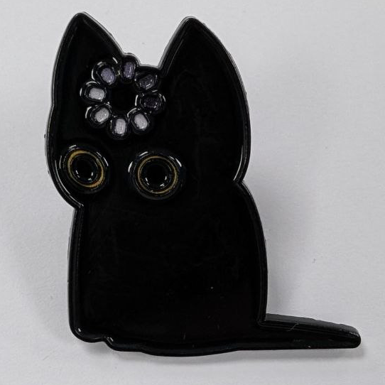 Confused Cat